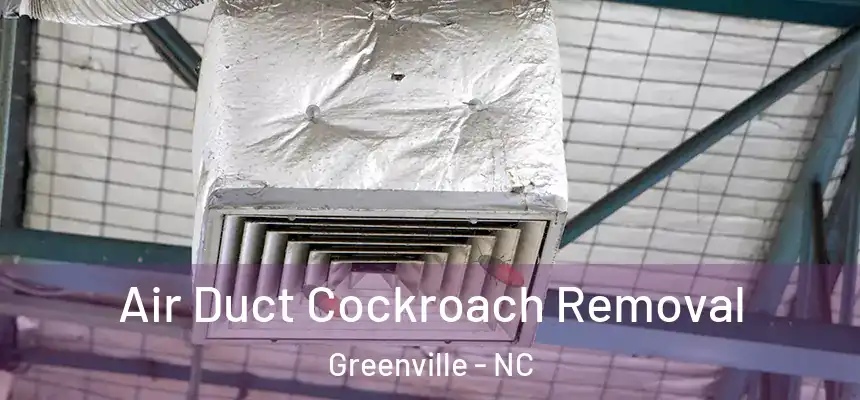 Air Duct Cockroach Removal Greenville - NC