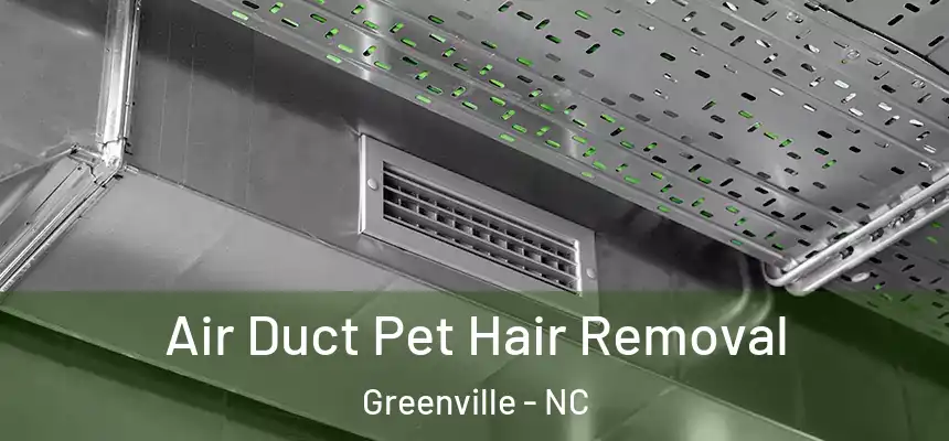 Air Duct Pet Hair Removal Greenville - NC