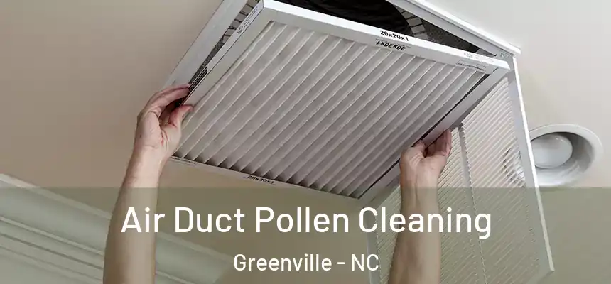 Air Duct Pollen Cleaning Greenville - NC