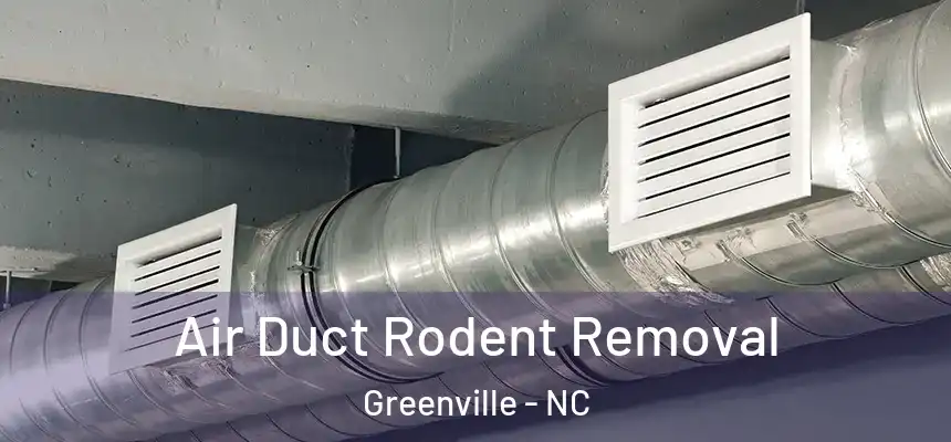 Air Duct Rodent Removal Greenville - NC