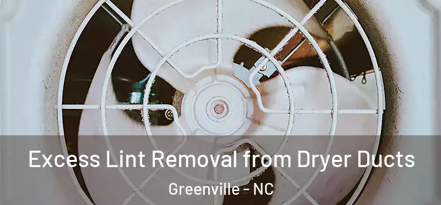 Excess Lint Removal from Dryer Ducts Greenville - NC