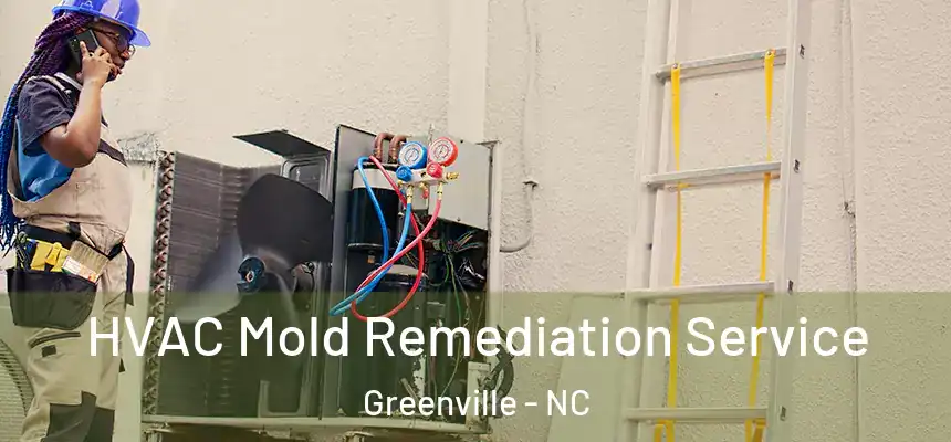  HVAC Mold Remediation Service Greenville - NC