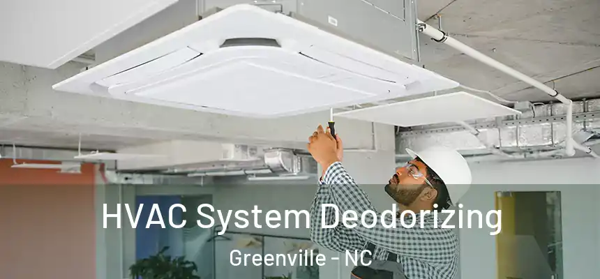  HVAC System Deodorizing Greenville - NC