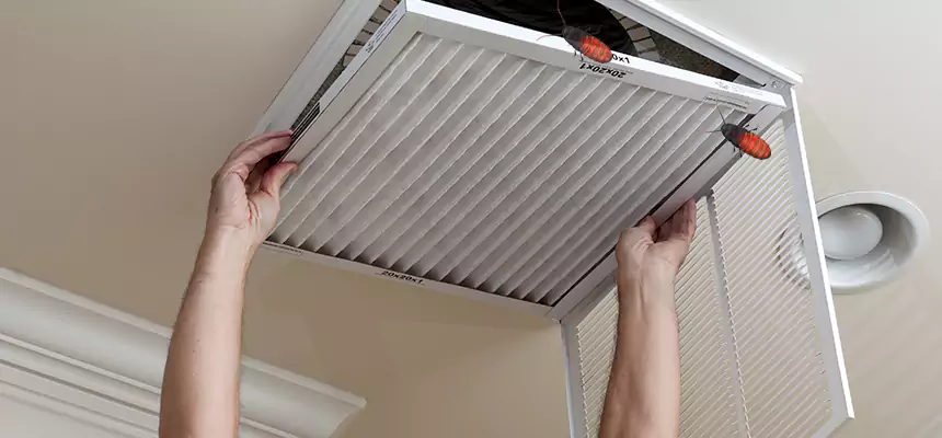 Our Insect Removal from Air Ducts Services in Greenville, NC