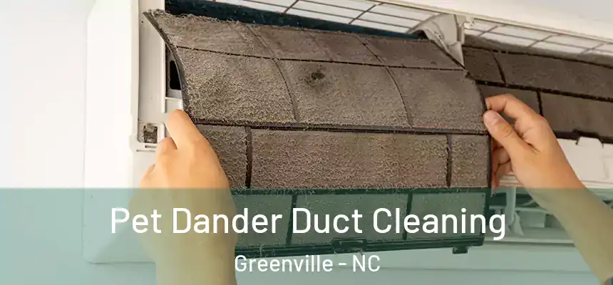 Pet Dander Duct Cleaning Greenville - NC