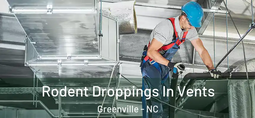  Rodent Droppings In Vents Greenville - NC