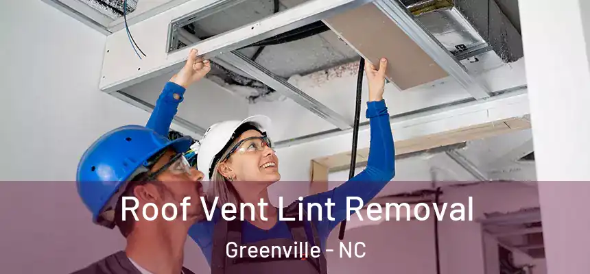 Roof Vent Lint Removal Greenville - NC