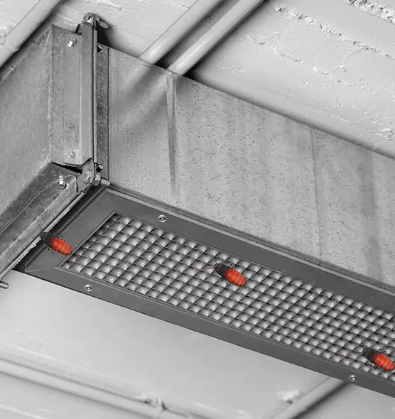 About Air Duct Cockroach Removal in Greenville, NC