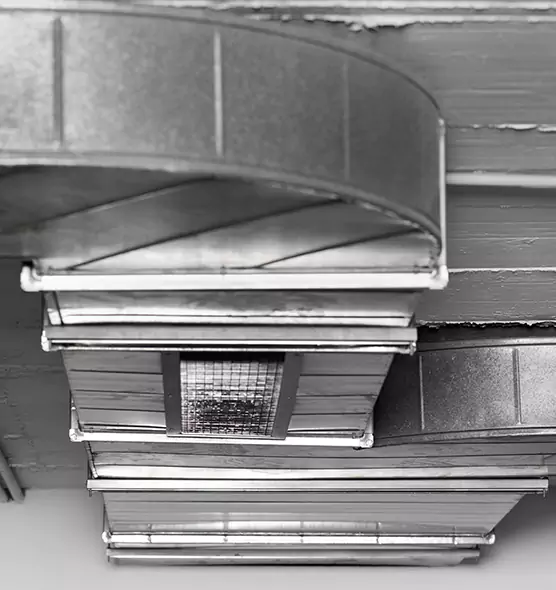 Professional Air Duct Pest Removal in Greenville, NC