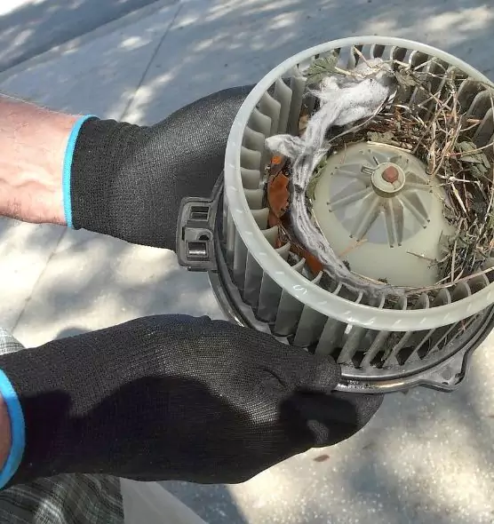 About Air Duct Rat Removal in Greenville, NC