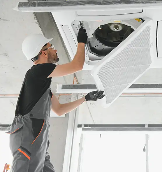 About Air Duct Rodent Removal in Greenville, NC