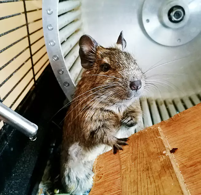 Why Homeowners & Businesses Trust Us Greenville, NC?