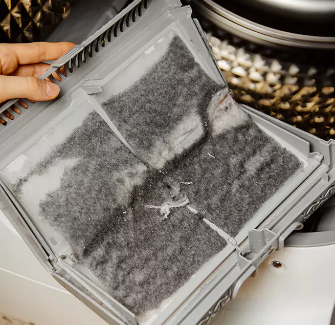  Why Homeowners & Businesses Trust Us Greenville, NC?