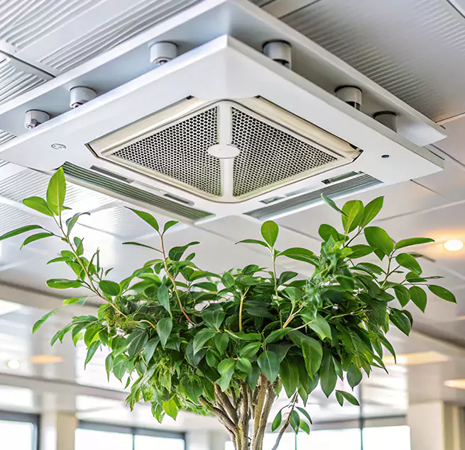 Why Homeowners & Businesses Trust Us in Greenville, NC?