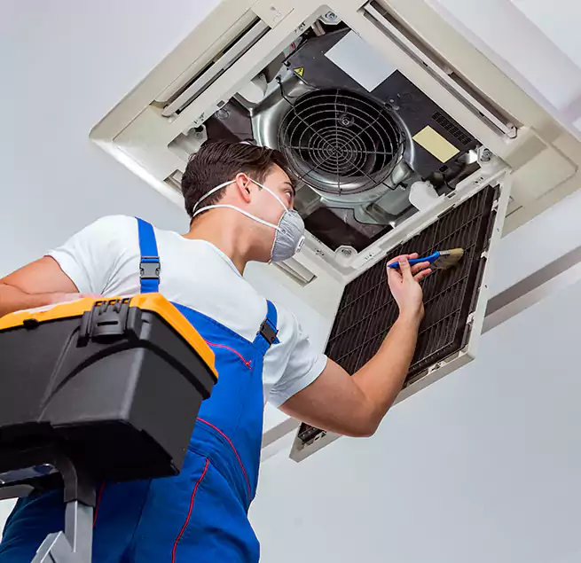 Why Homeowners & Businesses Trust Us in Greenville, NC?