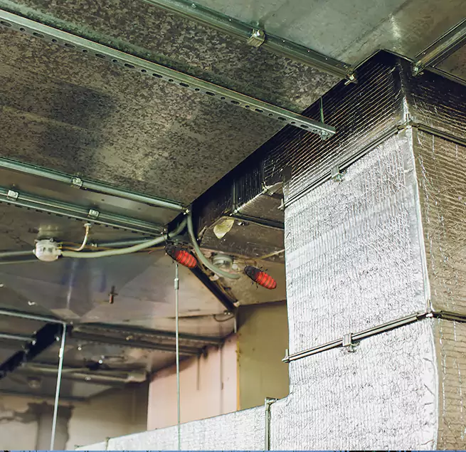 Why Homeowners & Businesses Trust Us Greenville, NC?