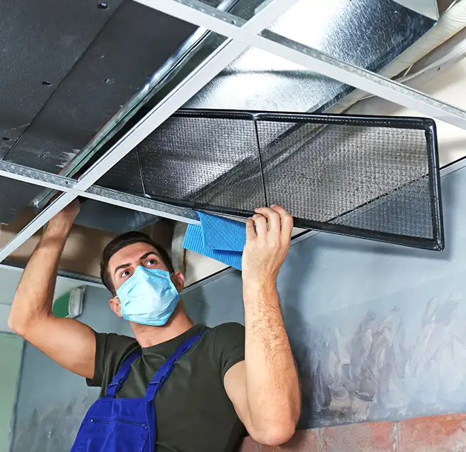 Why Homeowners & Businesses Trust Us in Greenville, NC?