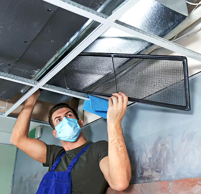 Why Homeowners Businesses Trust Us in Greenville, NC?